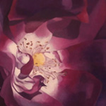 Paola De Rosa - Rosa 16 - 2016 - Tempera vinilica su tela - Dim: 70 x 70 cm