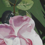 Paola De Rosa - Rosa 8 - 2016 - Tempera vinilica su tela - Dim: 70 x 43 cm